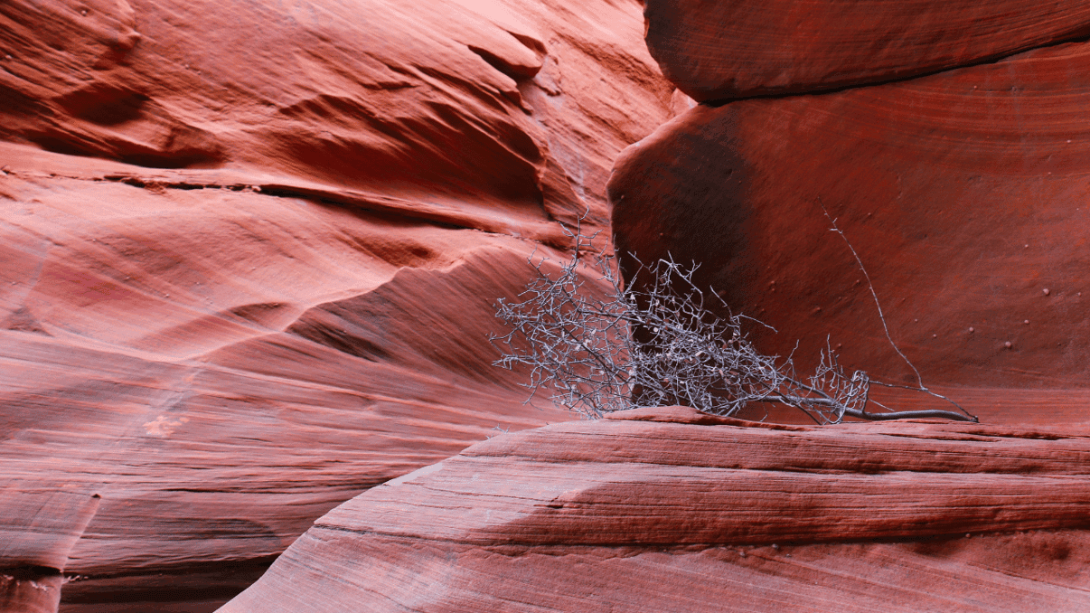 Sedona's Secret Canyons